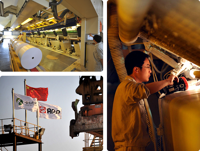 紙業(yè)品牌APP中國榮譽