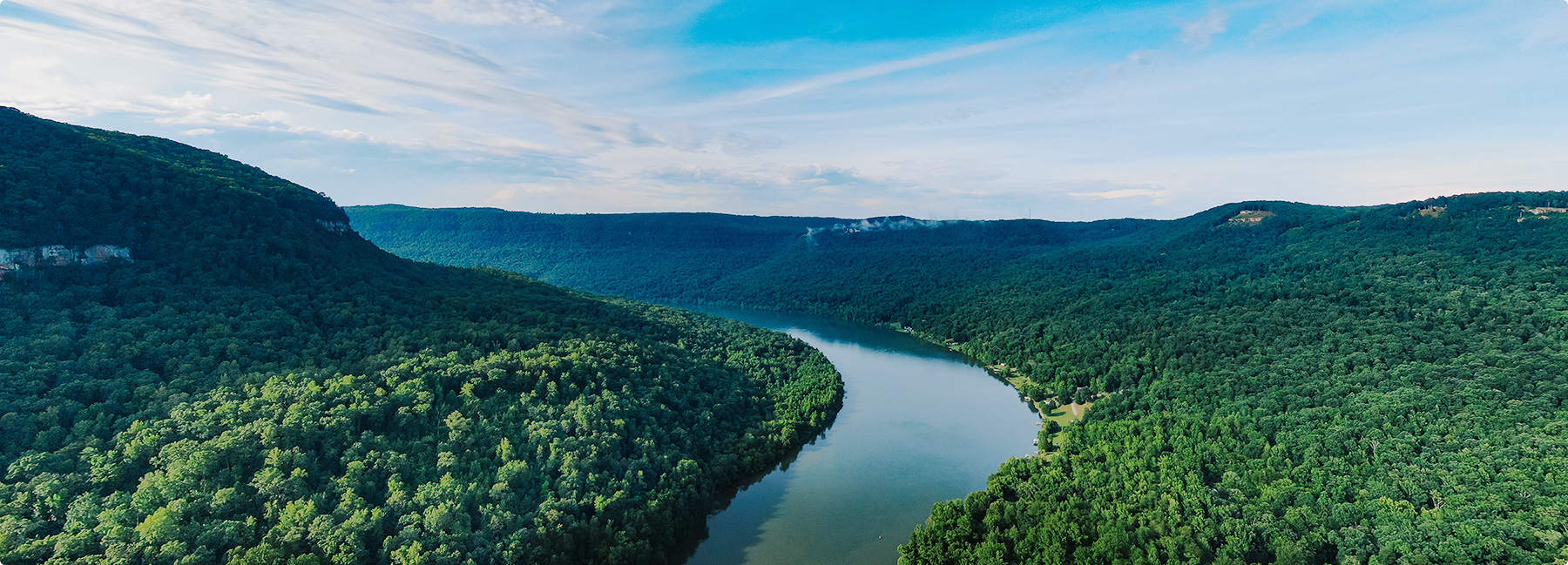 十大紙業(yè)公司APP中國業(yè)務(wù)部：林務(wù)事業(yè)部