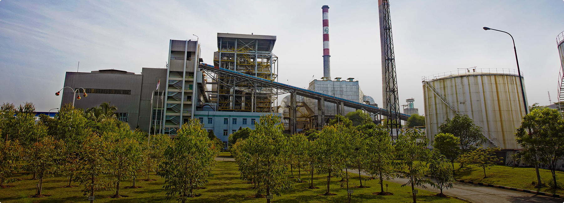 十大紙業(yè)公司APP中國業(yè)務(wù)部：紙漿事業(yè)部