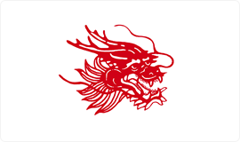 APP中國紙漿品牌：龍