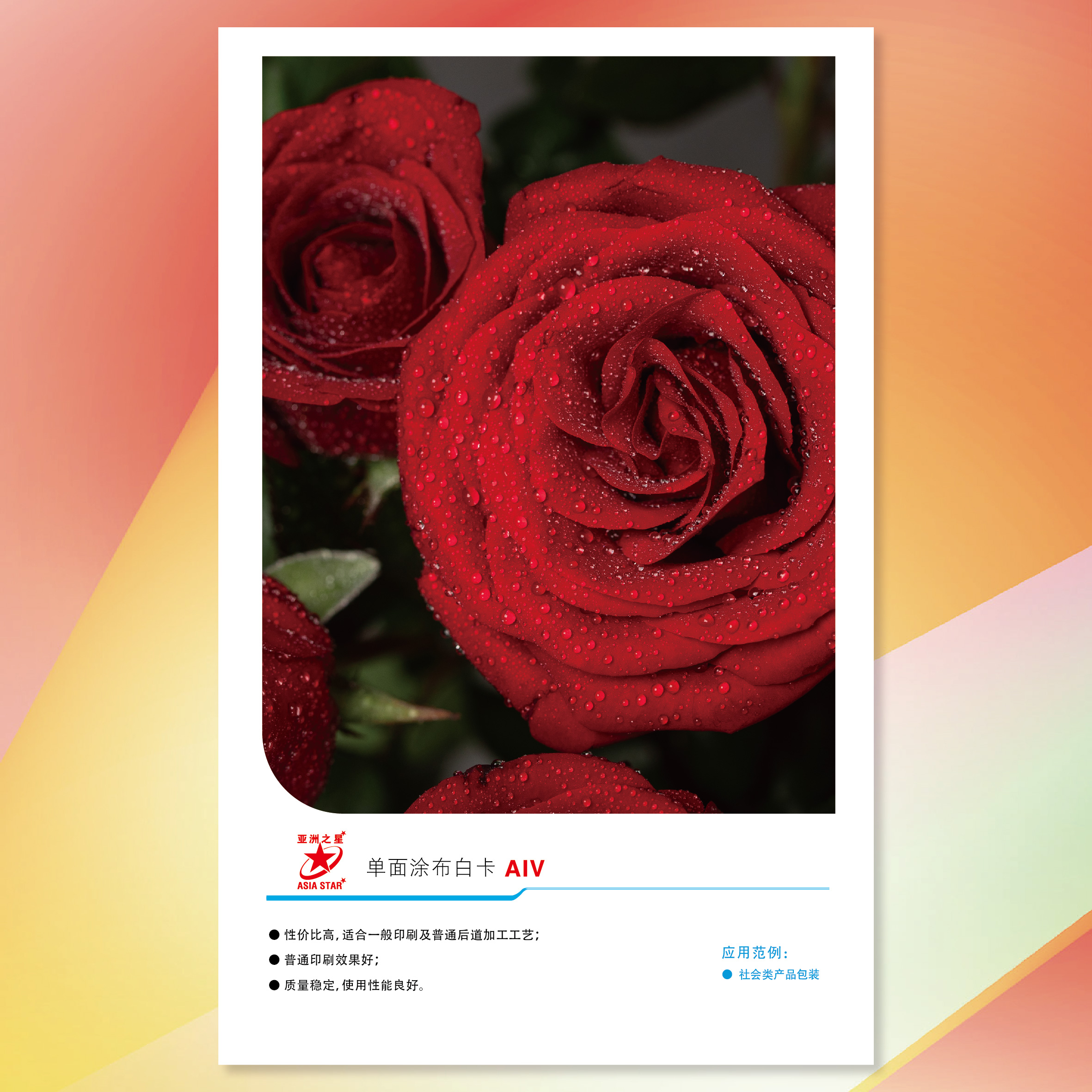 亞洲之星單面涂布白卡